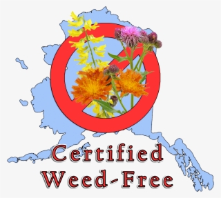 Alaska's Certified Weed-free Gravel Program Is A Voluntary - Illustration