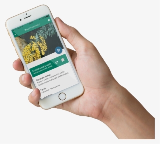 Myweedwatcher App For W - Indigo Weel Application