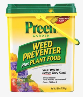 Preen Green