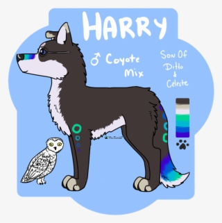 Ditto And Celeste - Sakhalin Husky