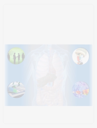““global Mergers & Acquisitions Of Indian Biopharma - Seleccion De Personal