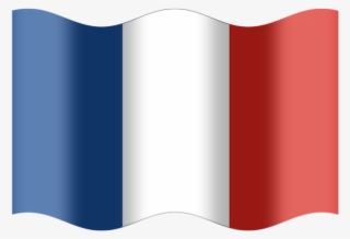 Flag France National Flag