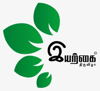 The Nature Fest - Graphic Design