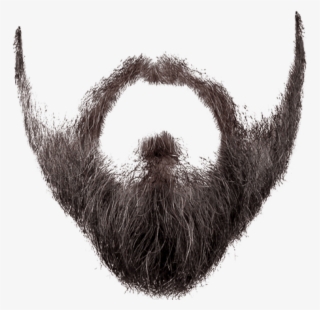 Free Png Download Beard Styles Png Images Background - Transparent Background Beard Png