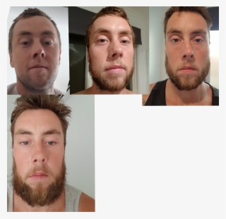 Beard-on Brothers - Collage