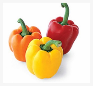Multi Bell Sweet Peppers - Bell Peppers