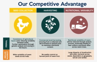 Having Realized The Role That Neem Would Play In The - Graphic Design