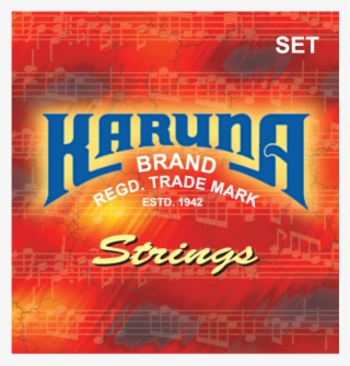 Sitar 7th Strings - String