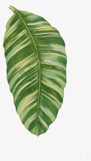 Click And Drag To Re-position The Image, If Desired - Rainforest Resort - Tropical Banana Leaf