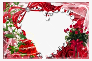 Eyewear Gallery Facebook - Transparent Roses Frame