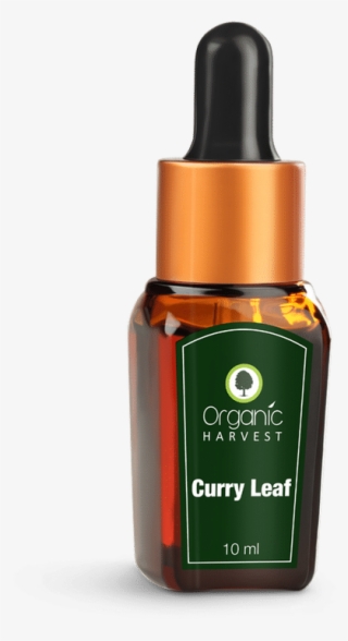 Organic Harvest Curry Leaf Essential Oil - Organic Essential Oils Lavender