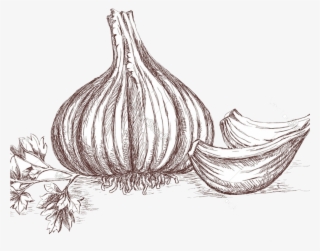 Cut Mango - Clip Art