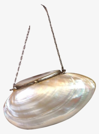 Unique Victorian French Fashion Purse C With - Clam