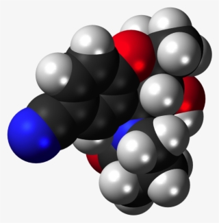 A New Synthetic Treatment Against Brain Tumors May - Illustration