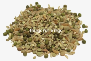 Home > Seeds > Organic Protein Power ~ Sprout Mix - Mung Bean