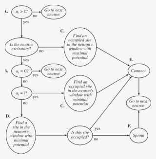 Shown Here Is The Algorithm For The Decision To Sprout - Diagram