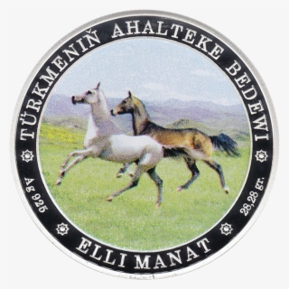 Tm 2013 50manat Horse B - Apple Safari Logo Png