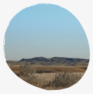 A Peaceful Retreat - Steppe