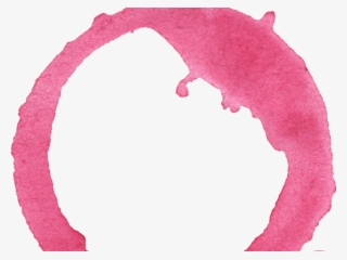 Circle Clipart Watercolor - Shrimp