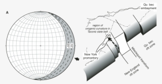 Schematic Diagram Of Interpreted Upper And Lower Plate - Diagram