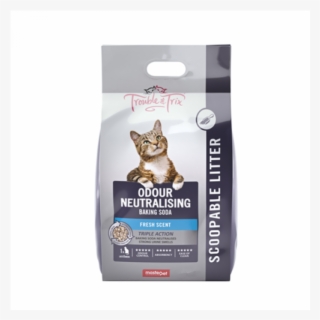 Click Image For Gallery - Litter Box