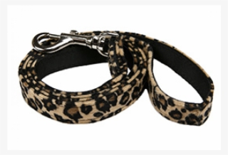 Leash