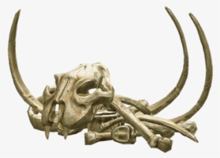 Bones Png Transparent - Transparent Bones Png