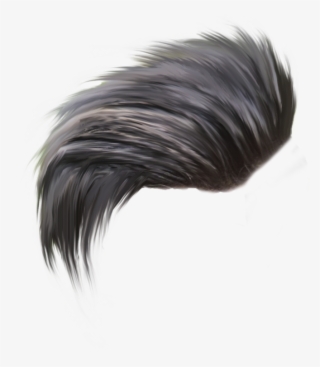 Hair Png Hair Png - Hair Png For Picsart