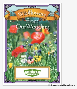 Wildflowers From Our Wedding Seed Packet - American Meadows