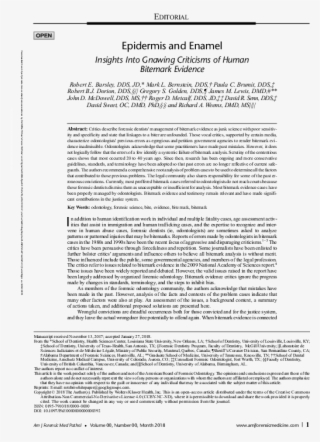 Pdf - Detailed Report On The Opening Ceremony Of China's