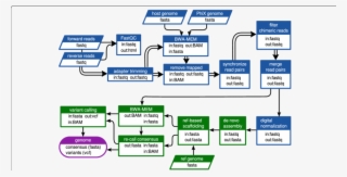 Double Arrows Indicate Steps Where The Read Pairs Were - Parallel