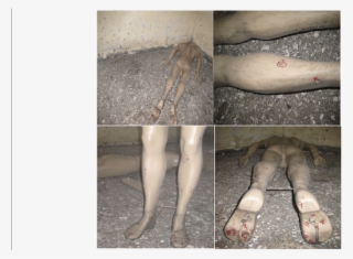 Mannequin 2 Lied Face Down On Left Opposite Corner - Paw