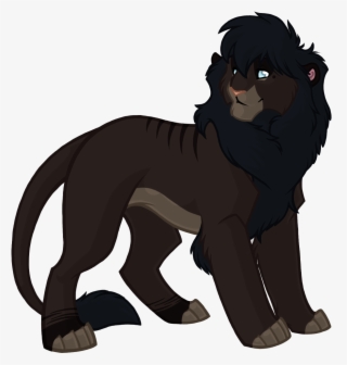 Blue Eyes - Masai Lion