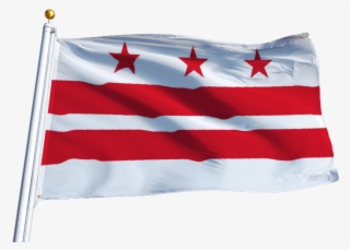 Does Not License Insurance Adjusters - Flag