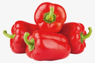 Da Lat Bell Pepper Chili Sugarcane Juice - Ớt Đỏ Đà Lạt