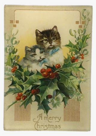 Merry Christmas Kittens