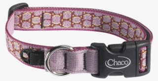 Chaco Dog Collars - Buckle