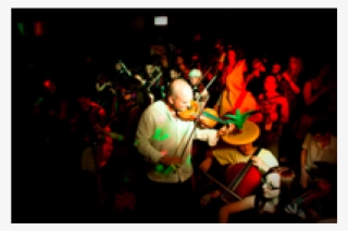 The Stamp Collective - Performance
