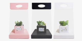 Bringing To You A Sustainable Succulent Bouquet That - Bonsai
