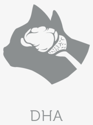 Enriched With Dha Fatty Acids Which Stimulate The Brain - Black Cat