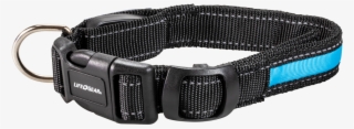 Night Walker Glow Led Usb Rechargeable Pet Collar Small - Strap