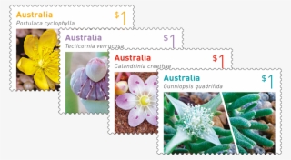 Australian Succulents Set Of Stamps - Australian Stamps 2017
