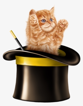 Kitten Cartoon, Kitten Images, Cats And Kittens, Tube, - Cat In Magic Hat