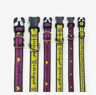 Rocket Nylon Dog Collar - Life Is Good Dog Collar