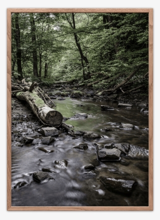 Kobbe River Poster - Kobbeådalen
