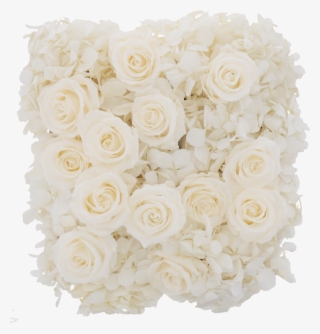 Hydrangea Rose Box - Garden Roses