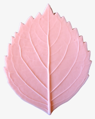 Hydrangea Leaf - Maple Leaf