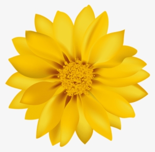 Free Png Yellow Flower Transpa Png Images Background - Flower Png