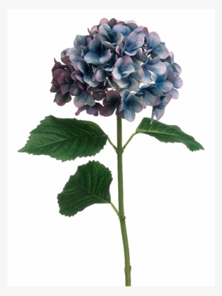 31" Hydrangea Spray Blue Purple - Hydrangea Serrata