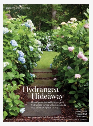 Posted On June 12, 2011 September 12, 2017 By Troy - Botanical Garden